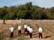 Hotel Rural Predi Son Jaumell Capdepera boutique 