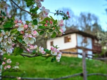 Karashka - Holiday home villa in Selishte, Central Northern Bulgaria
