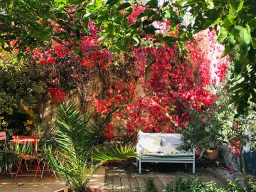 Domaine de Capiès - Holiday homes villas in Carcassonne, Occitanie